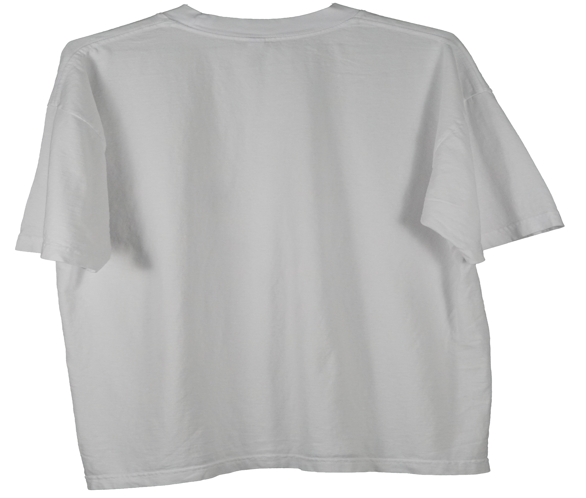 MonoGlobe Adult Tee (High Ribbed Collar)
