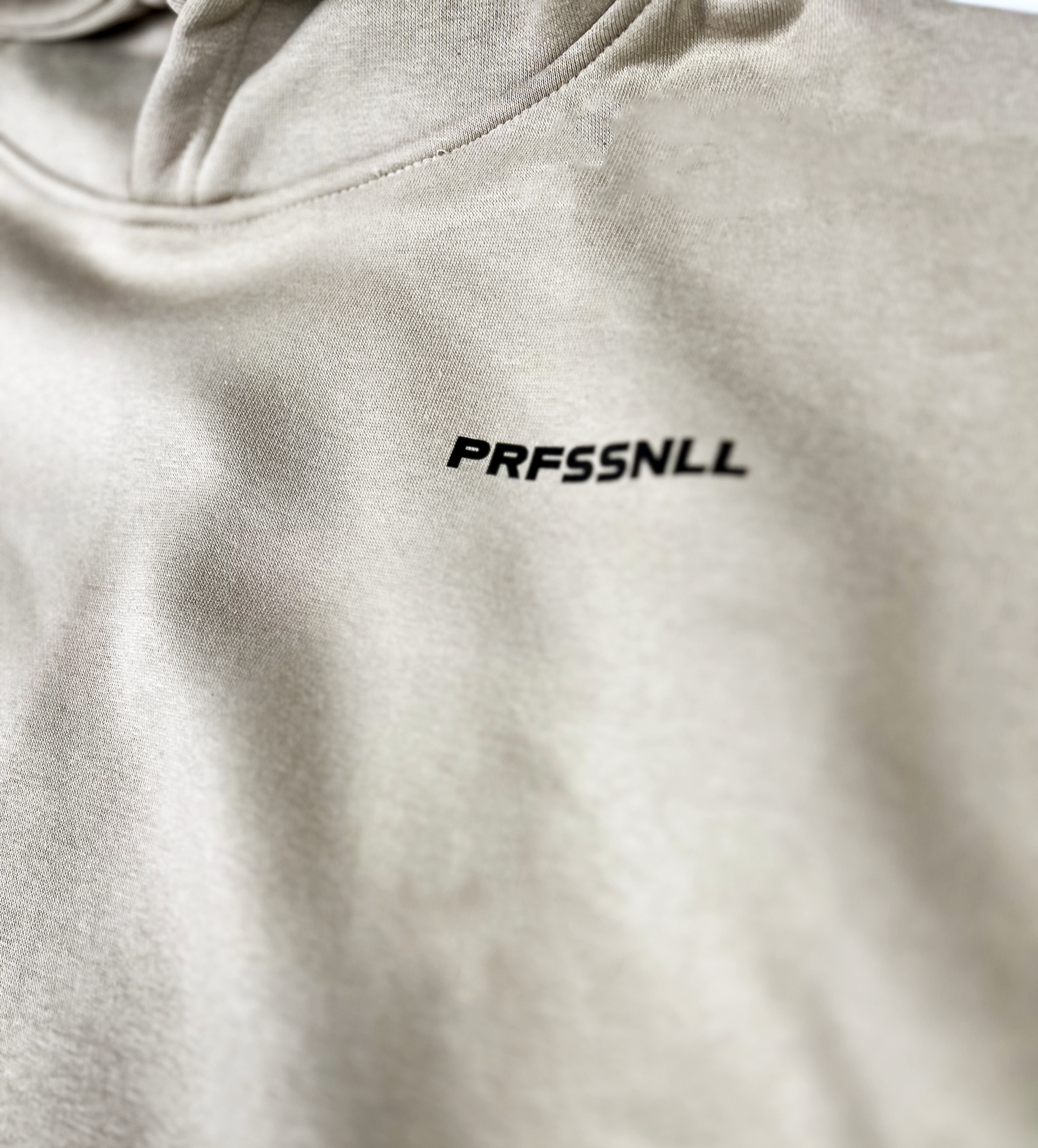 PRFSSNLL Globe Adult Hoodie (Ultra Heavyweight)