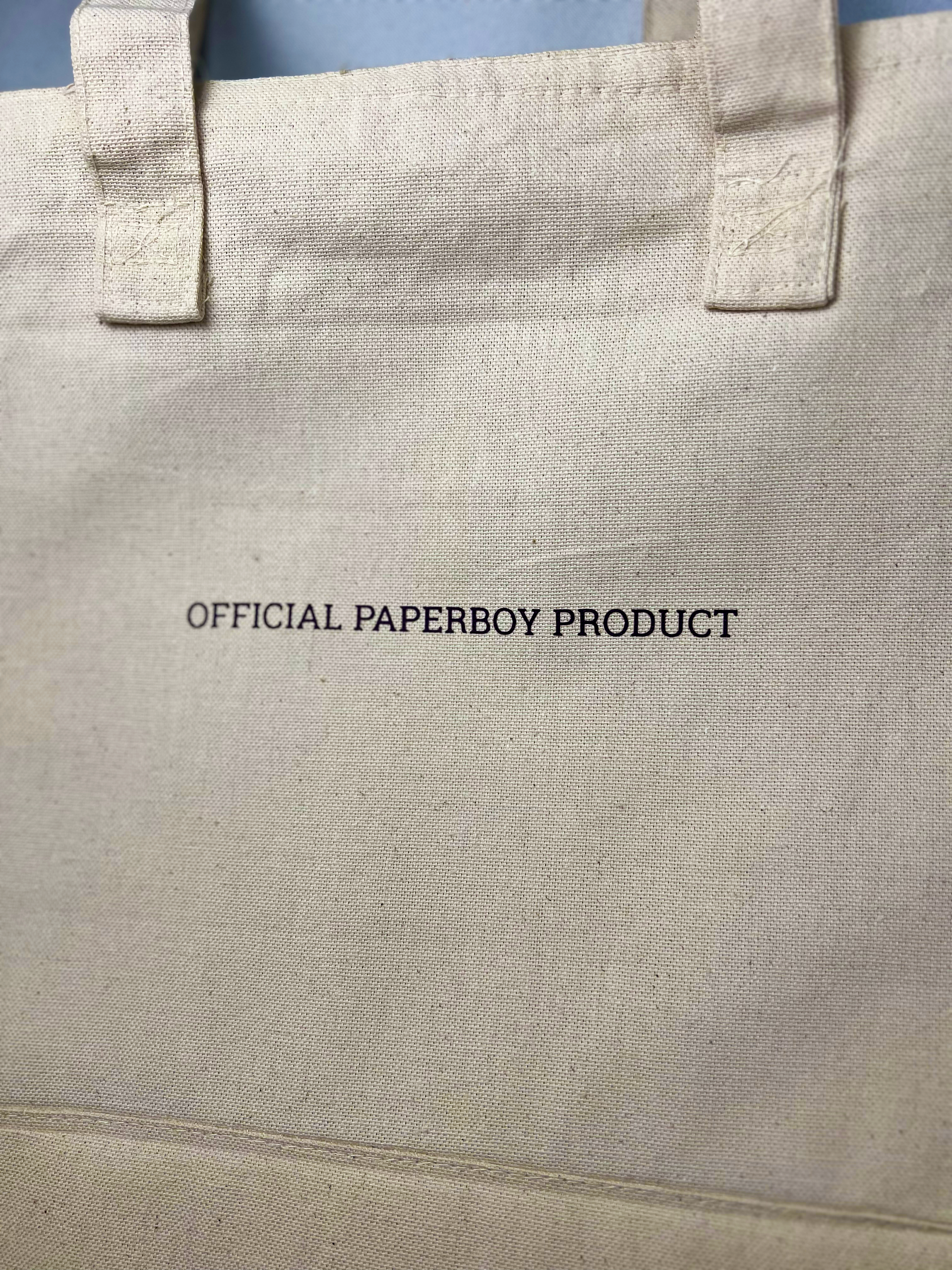 Paperboy Adult Tee