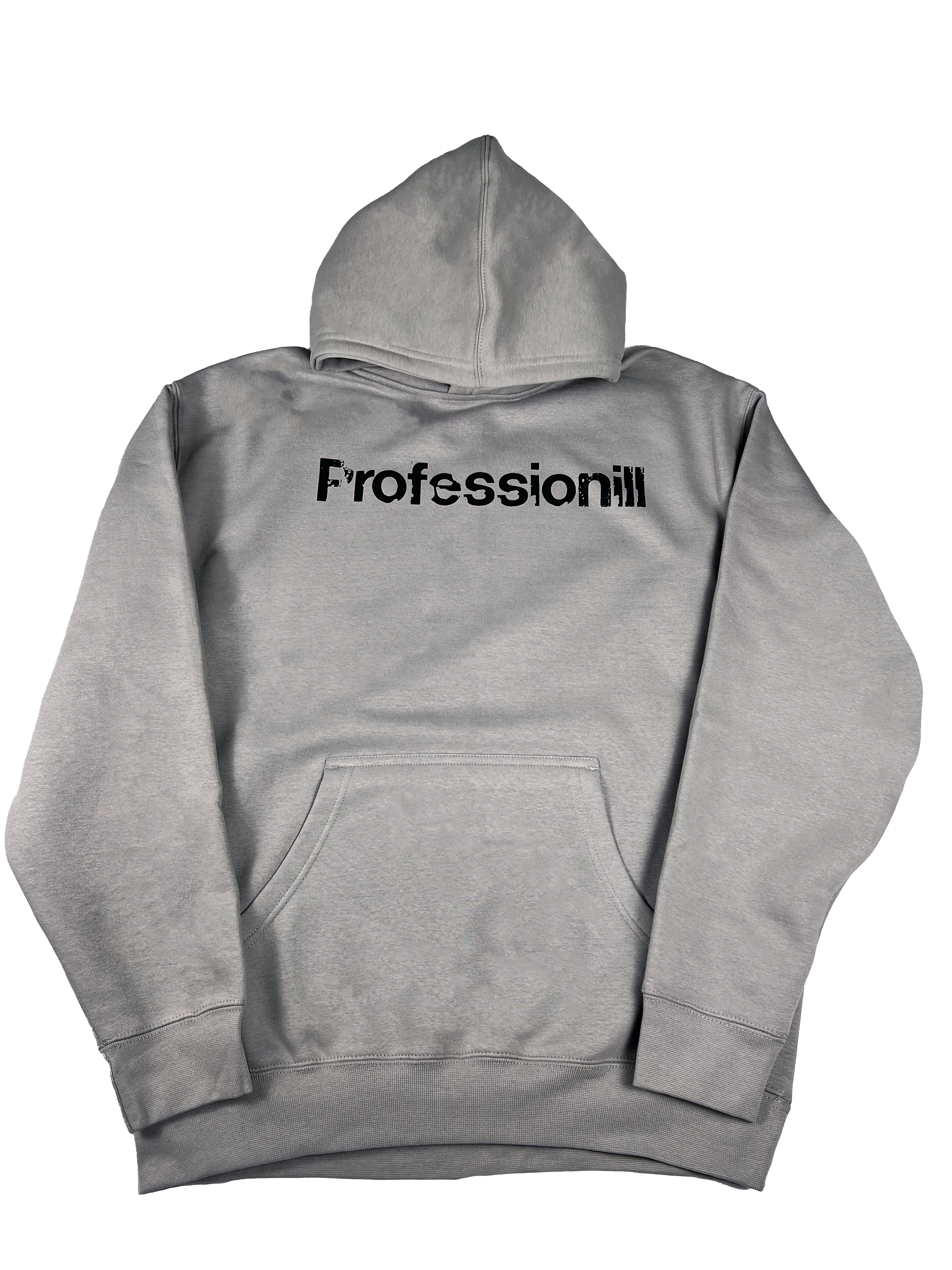 Professionil Typeface Adult Hoodie (Ultra Heavy)